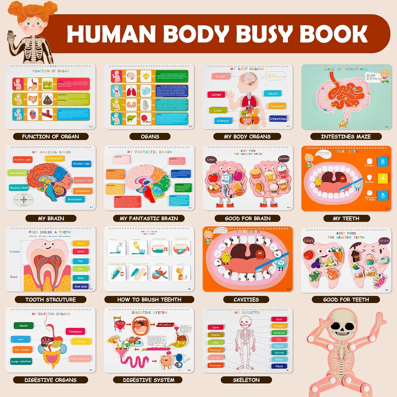 Montessori Busy Book for Kids, Human Body Anatomy Book for Toddlers, Preshool Kindergarten Learning Activities, Autism Sensory Toys, Travel Toys, Gifts for Girls and Boys 4 5 6 7 8 Years