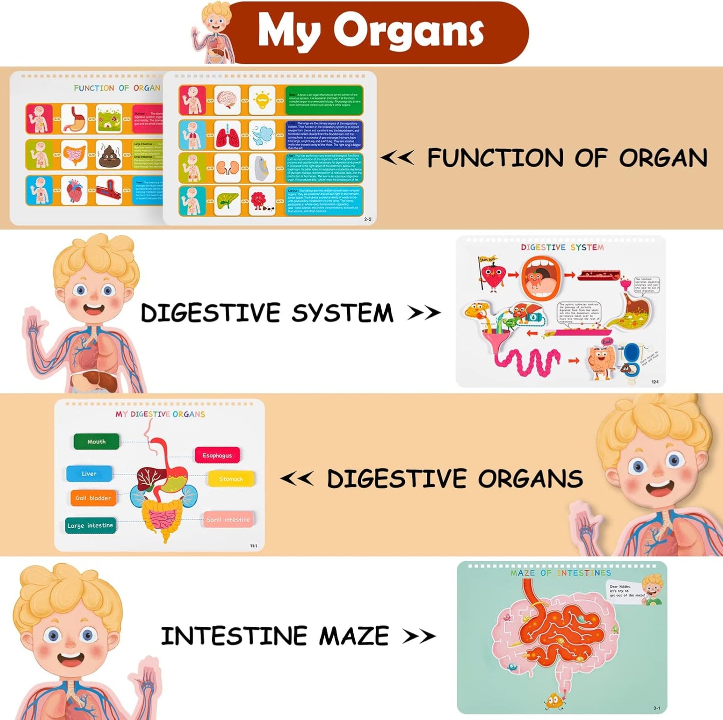 Montessori Busy Book for Kids, Human Body Anatomy Book for Toddlers, Preshool Kindergarten Learning Activities, Autism Sensory Toys, Travel Toys, Gifts for Girls and Boys 4 5 6 7 8 Years